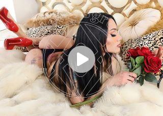Video trans escort laysa barros como